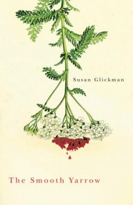 The Smooth Yarrow, by Susan Glickman