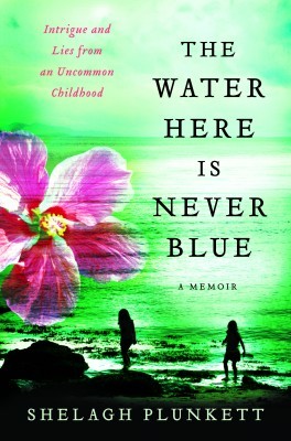 The Water Here is Never Blue, by Shelagh Plunkett