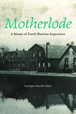 Motherlode, by Carolyne Van Der Meer