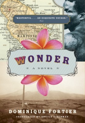 Wonder, by Doninique Fortier