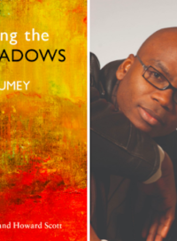 Mina Among the Shadows - Edem Awumey