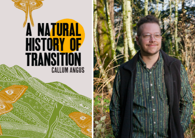 A Natural History of Transition