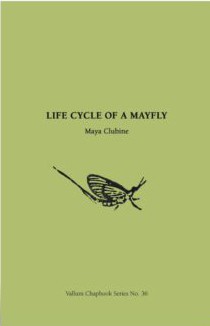 Life Cycle of a Mayfly