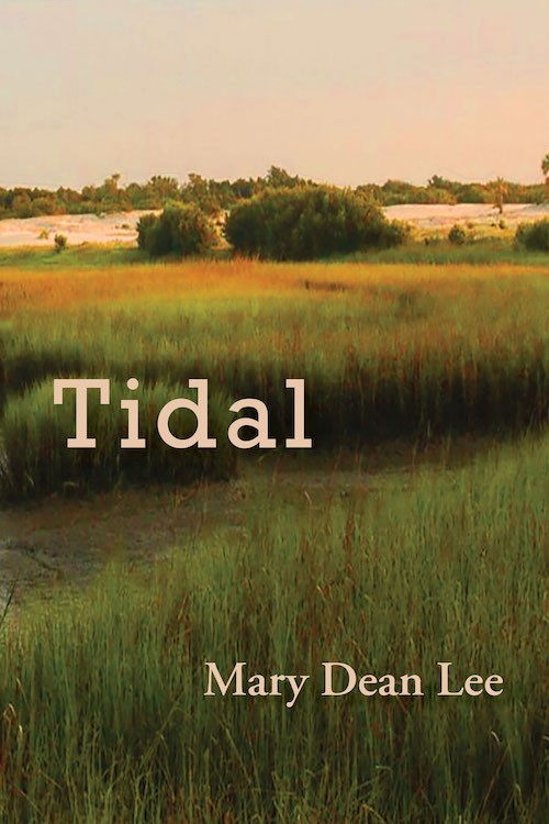 Tidal